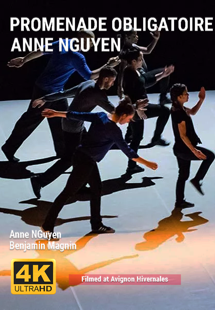 Promenade obligatoire, un spectacle chorégraphique d'Anne Nguyen
